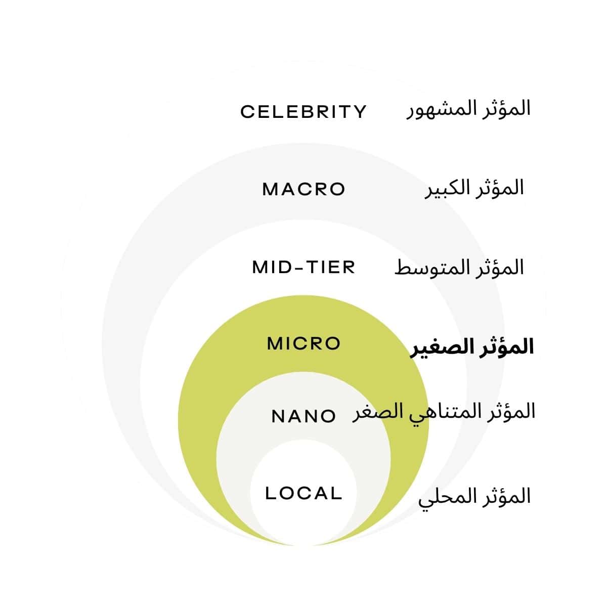 CELEBRITY - المؤثر المشهور MACRO - المؤثر الكبير MID-TIER - المؤثر المتوسط MICRO - المؤثر الصغير NANO - المؤثر النانوي LOCAL - المؤثر المحلي 